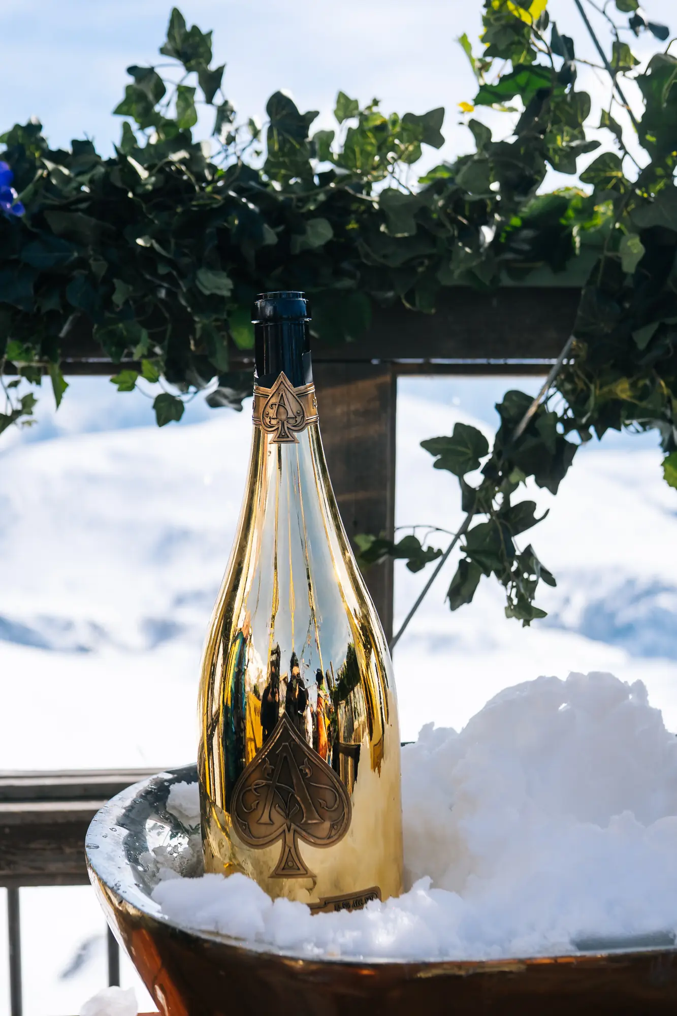 Tomorrowland Winter · 2026 · 14